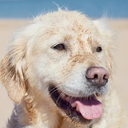 Seestern * Kaltenhof